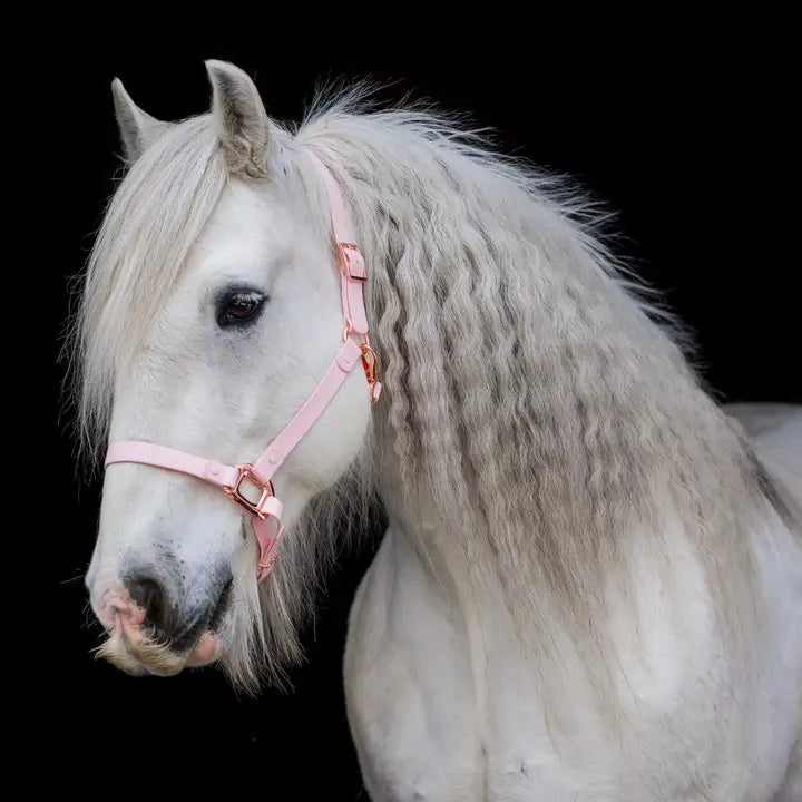 iDoggos Biothane Horse Halter