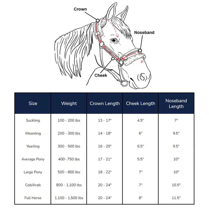 iDoggos Biothane Horse Halter