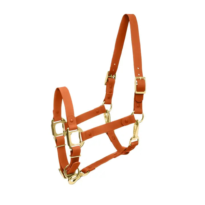 iDoggos Biothane Horse Halter