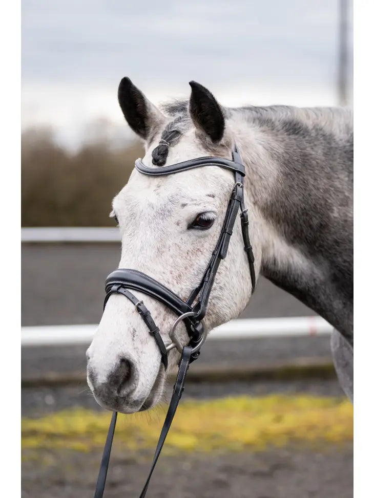 Quail Hollow Raised Snaffle Bridle with Flash