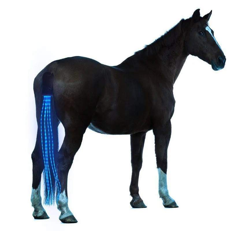LED Horse Tail Lights