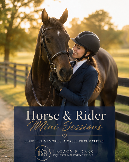 Horse & Rider Mini Sessions