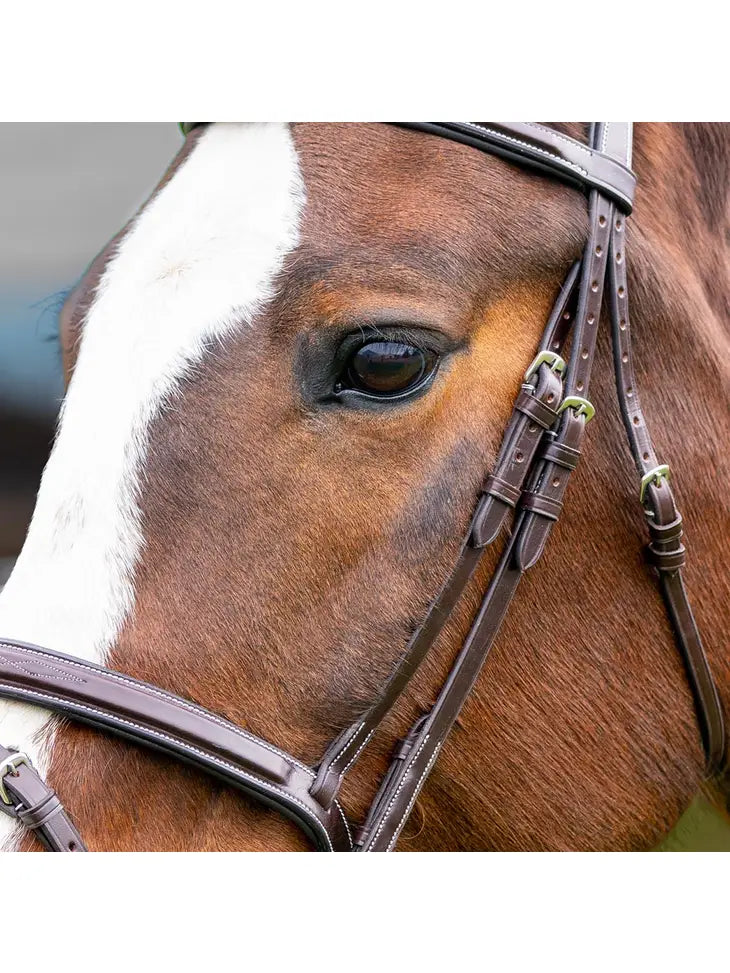 Marco Simone Italian Monocrown Bridle with Removeable Flash