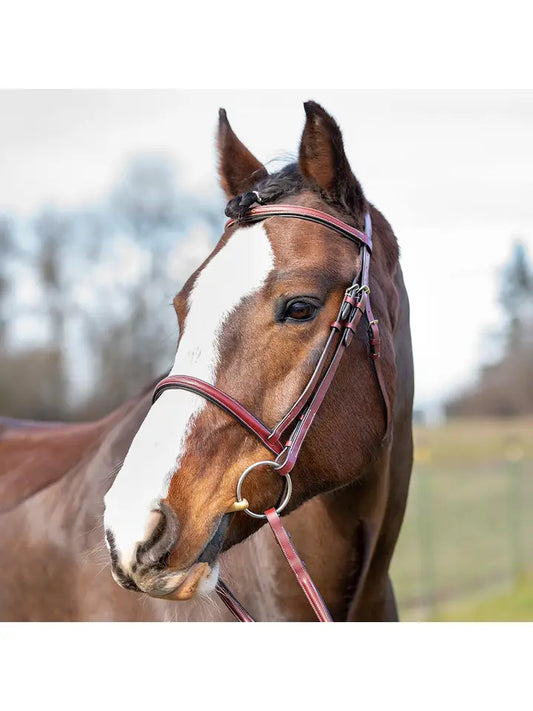 Spanish Bay - Fancy Raised Leather Hunter Horse Bridle