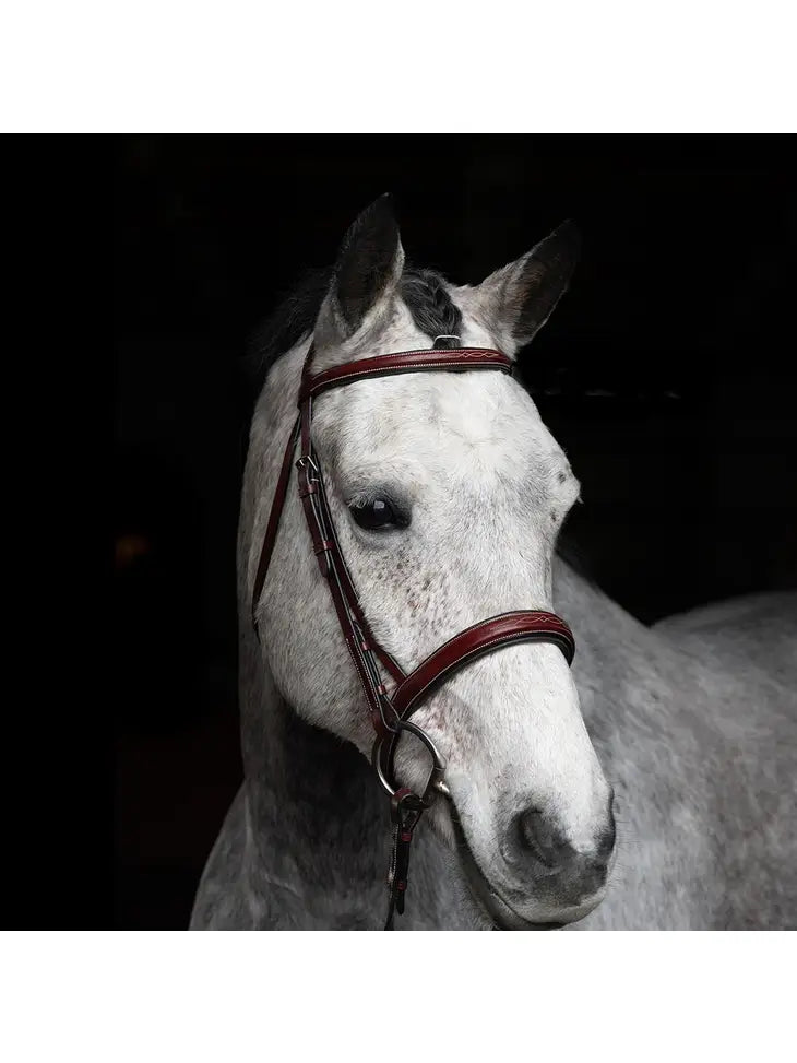 St. Andrews - Fancy Raised Leather Hunter Horse Bridle