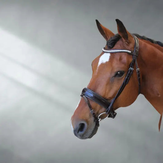 Reflection Patent Anatomical Leather Bridle + Bag | Ritmo