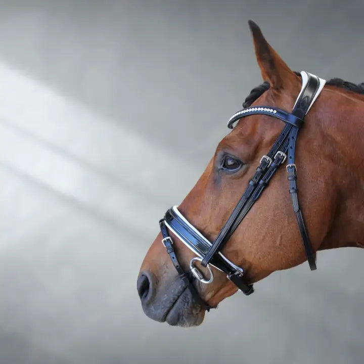 Reflection Patent Anatomical Leather Bridle + Bag | Ritmo