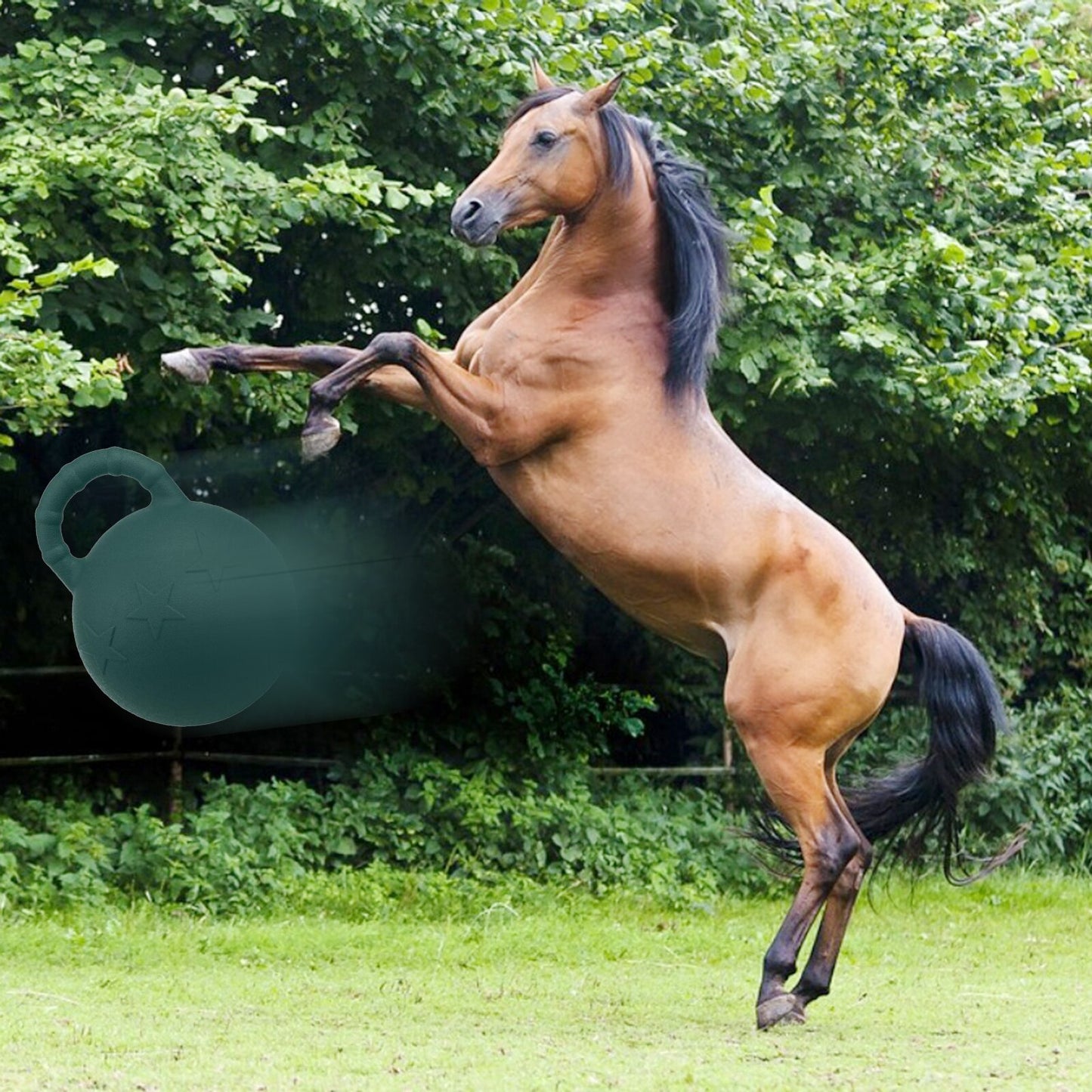 Fruit Scented Fun: Equine Play Game Toy Anti-Burst Bounce Balls for Horses