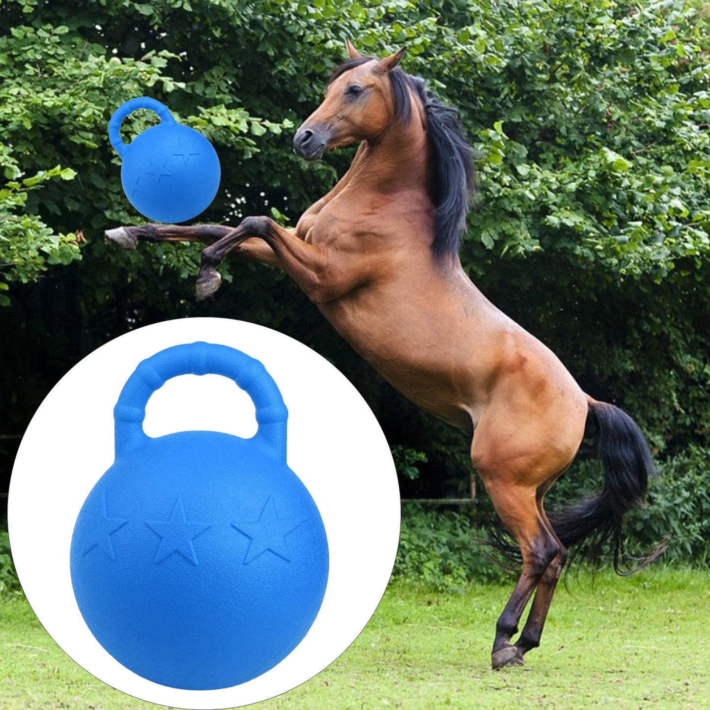 Fruit Scented Fun: Equine Play Game Toy Anti-Burst Bounce Balls for Horses