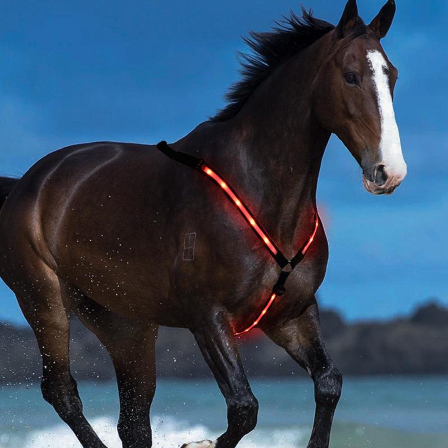 Illuminate Your Ride - LED Horse Breast Collar