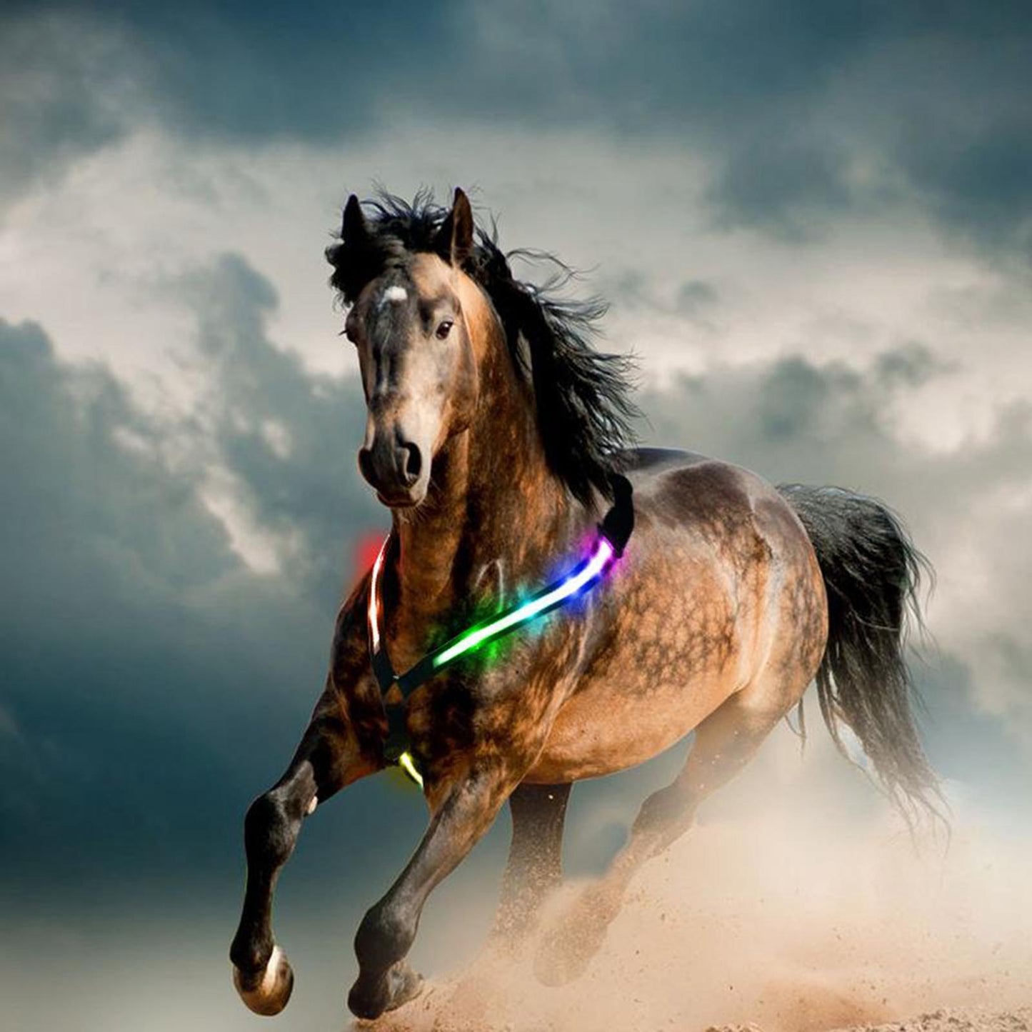 Illuminate Your Ride - LED Horse Breast Collar