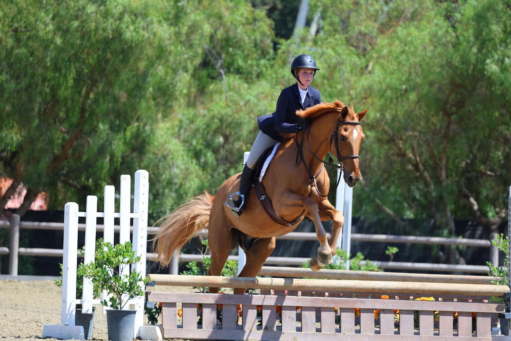 English Riding Definition Legacy Riders Equestrian
