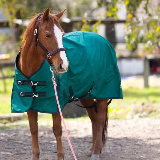 1680D Heavy Weight Turnout Blanket - 300g - 78"