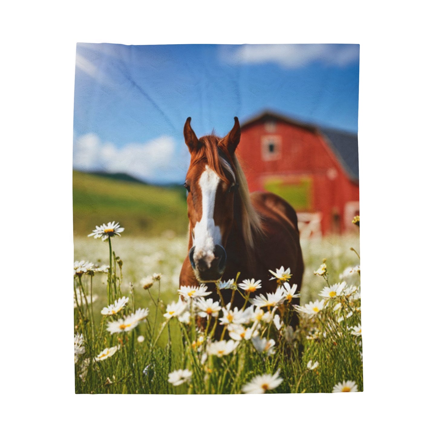 Velveteen Plush Horse Blanket