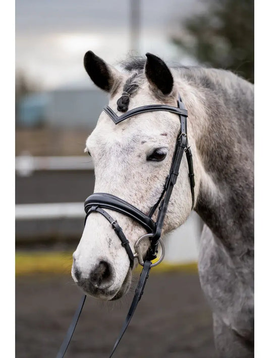 Quail Hollow Raised Snaffle Bridle with Flash