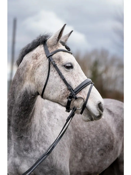 Quail Hollow Raised Snaffle Bridle with Flash