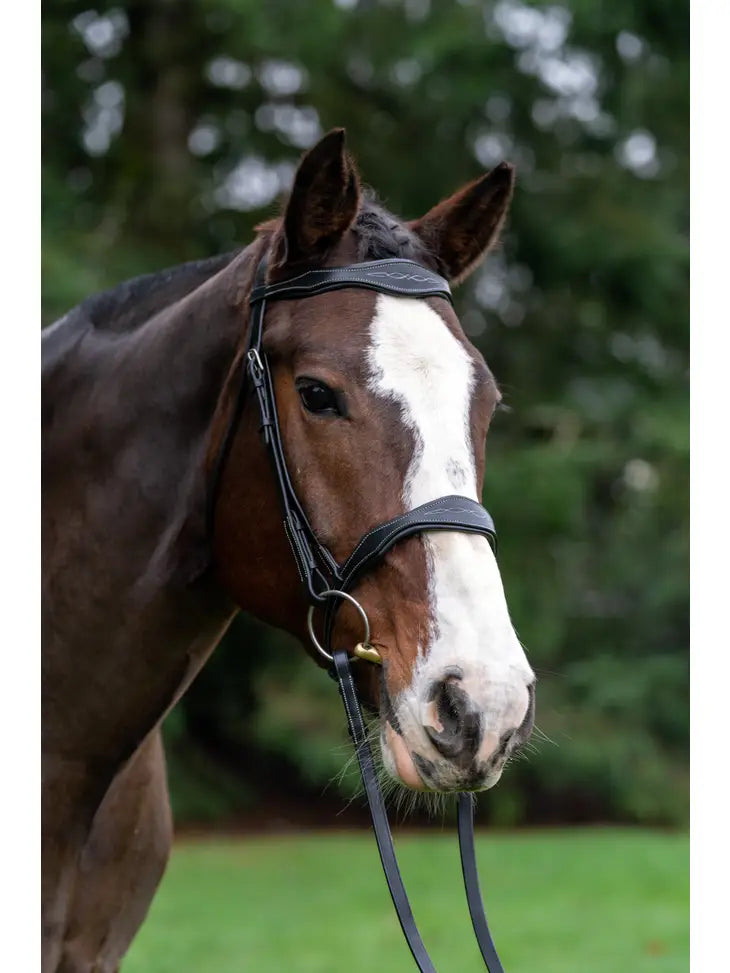 Vogue Fancy Stitched Bridle