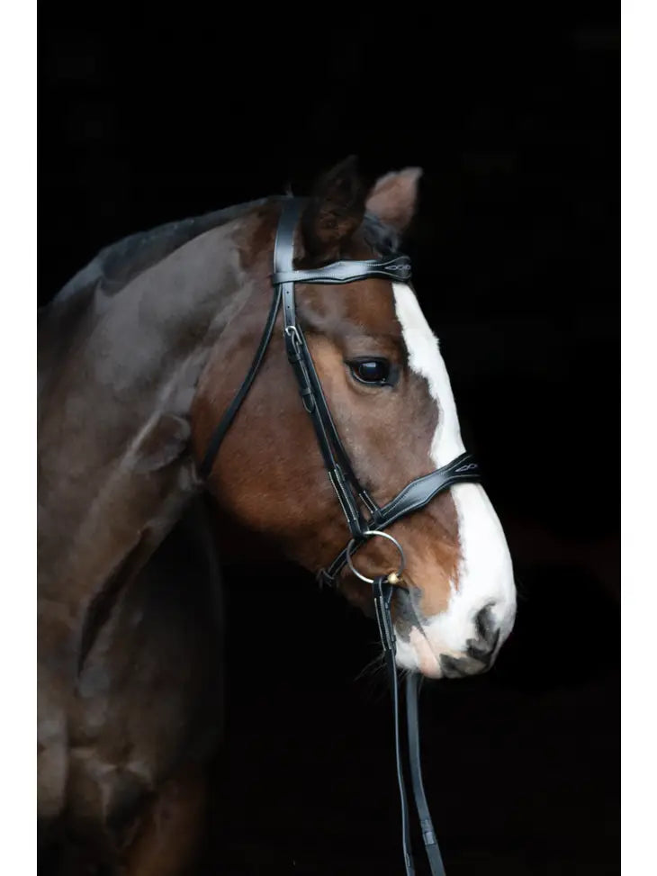 Vogue Fancy Stitched Bridle