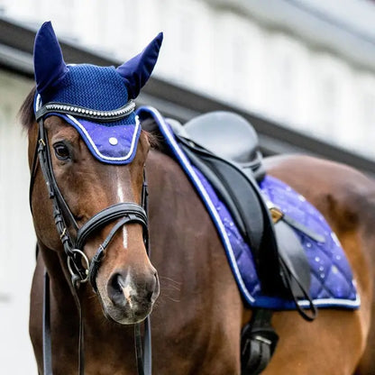 Constellation Fly Veil