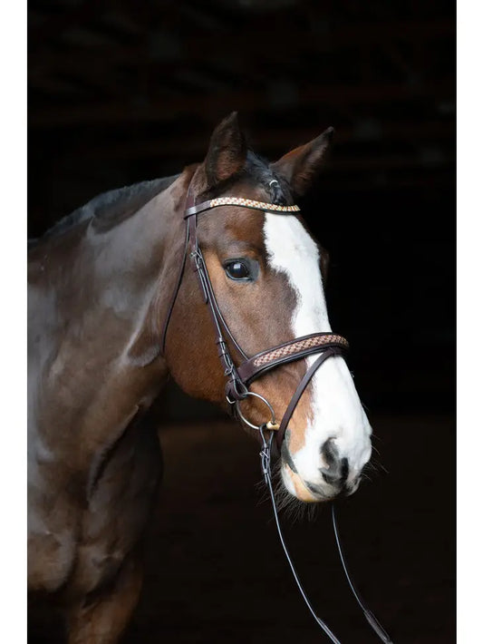 Bonn Crank Dressage Bridle with Flash