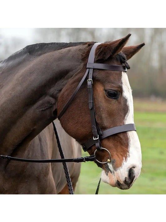 Fox Leather Hunting Snaffle Traditional English Horse Bridle