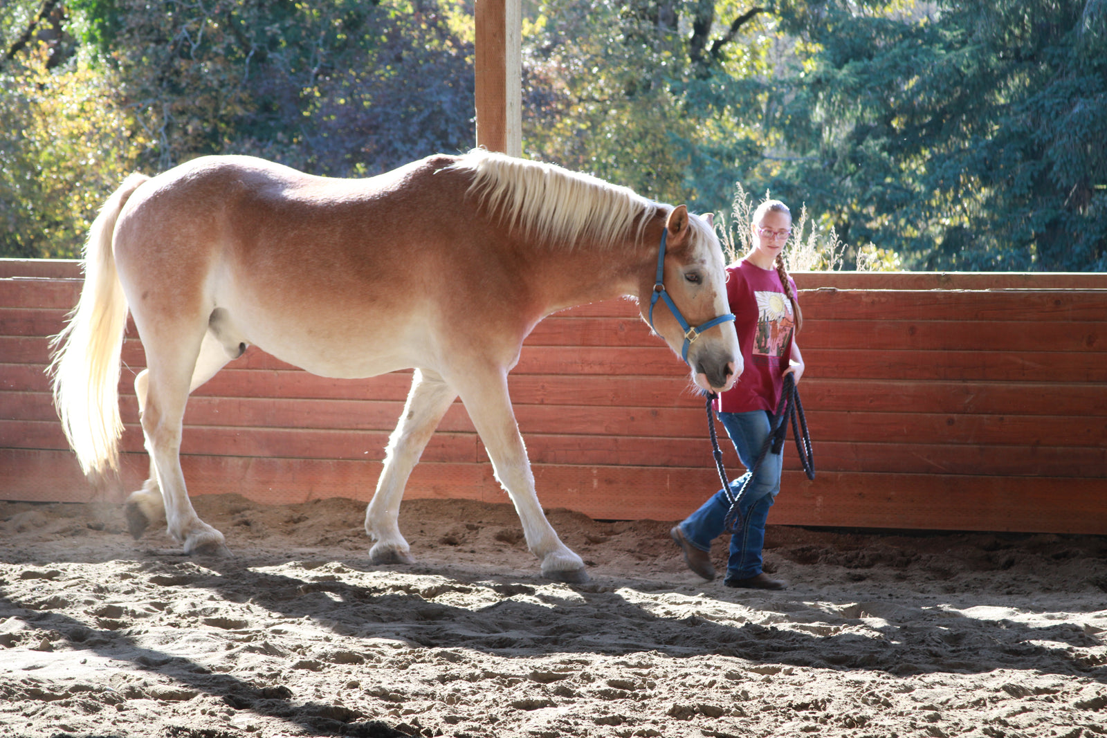 Legacy Riders Foundation banner image