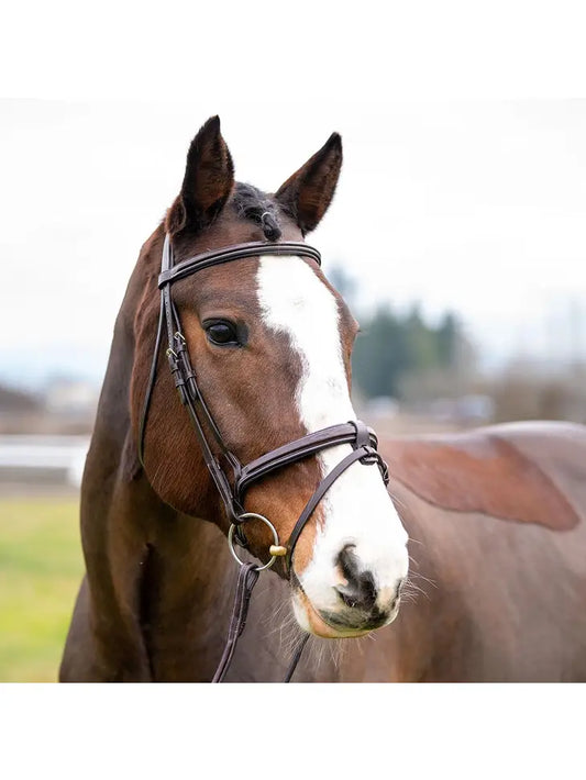 Marco Simone Italian Monocrown Bridle with Removeable Flash