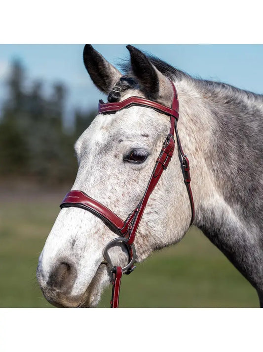 Santorini - Fancy Stitch Padded Snaffle Horse Bridle