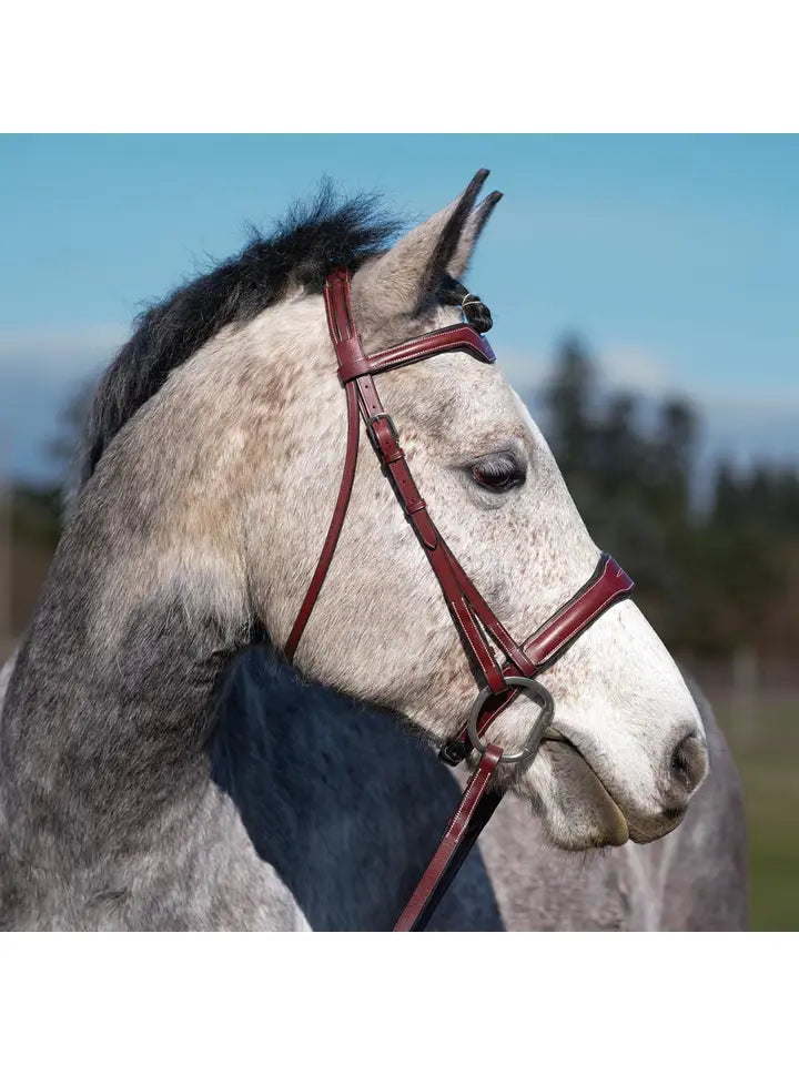 Santorini - Fancy Stitch Padded Snaffle Horse Bridle