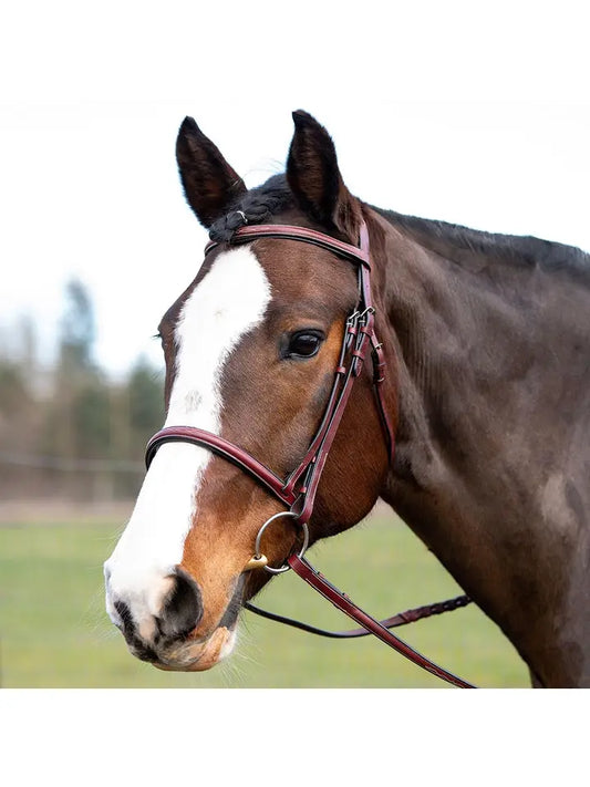 Spanish Bay - Fancy Raised Leather Hunter Horse Bridle