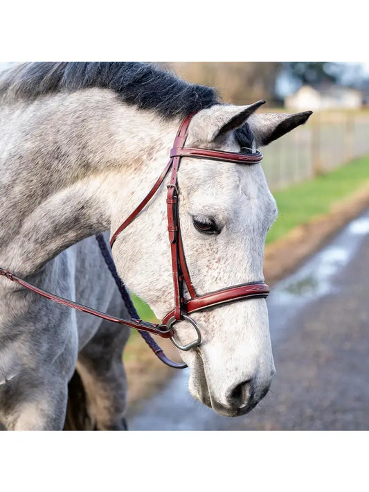 St. Andrews - Fancy Raised Leather Hunter Horse Bridle