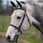 Thornberry - Fancy Raised Padded Leather Hunter Horse Bridle