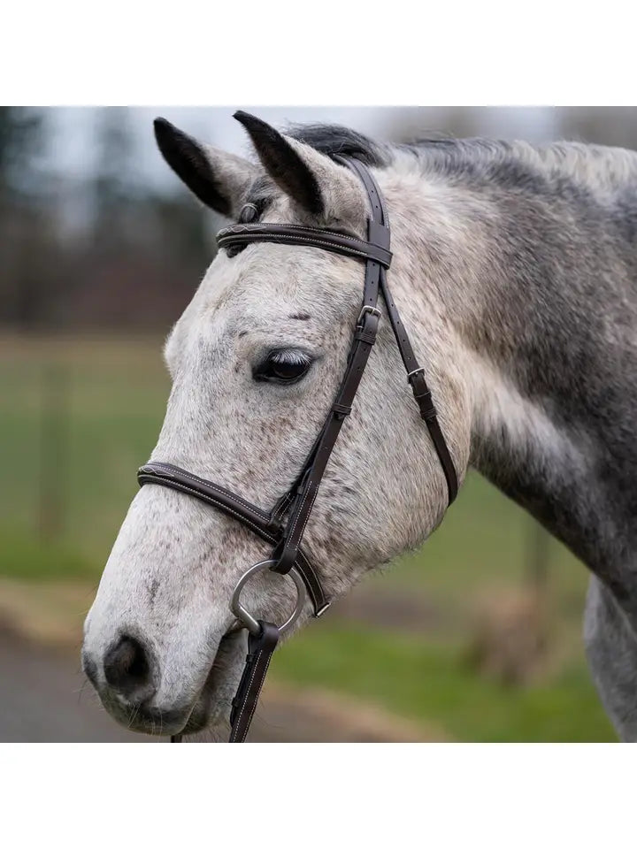 Legacy Riders Thornberry - Fancy Raised Padded Leather Hunter Horse Bridle – Legacy ...