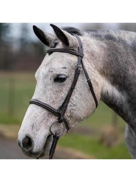 Thornberry - Fancy Raised Padded Leather Hunter Horse Bridle