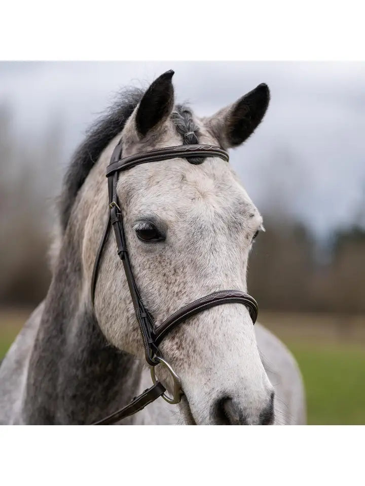 Thornberry - Fancy Raised Padded Leather Hunter Horse Bridle