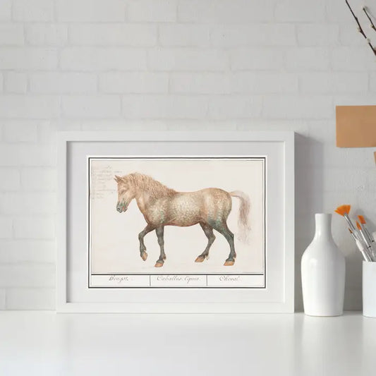 Antique Horse Illustration Art Print