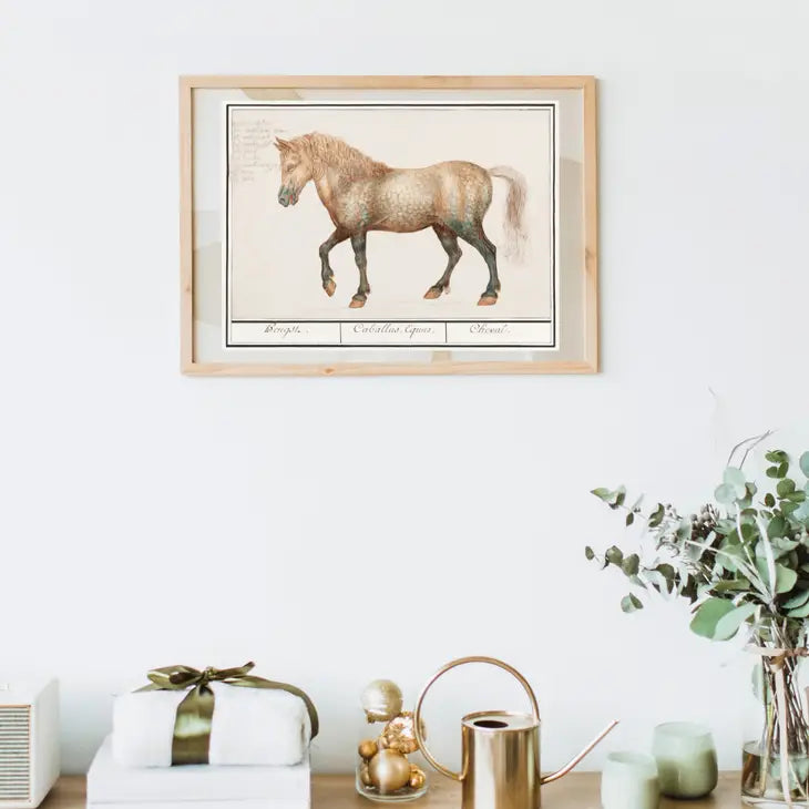 Antique Horse Illustration Art Print