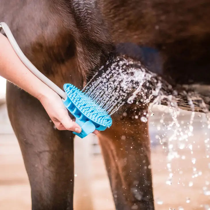 Aquapaw® Equine Grooming Tool