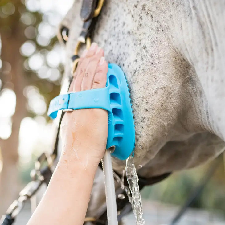 Aquapaw® Equine Grooming Tool