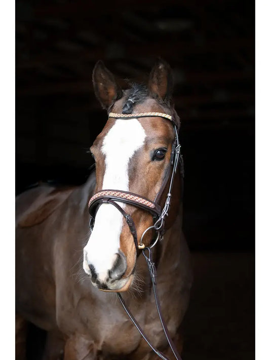 Bonn Crank Dressage Bridle with Flash