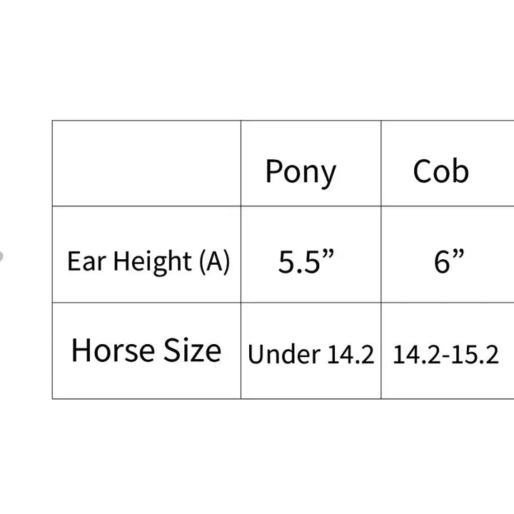 Equestrian Toile Fly Veil