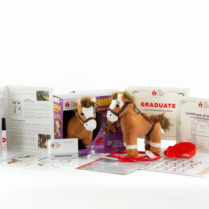 Kids Horse Veterinarian Activity Play Set