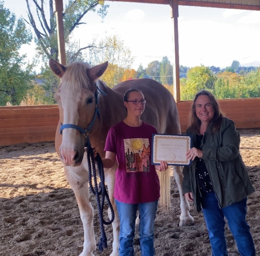 Desktop Banner Image