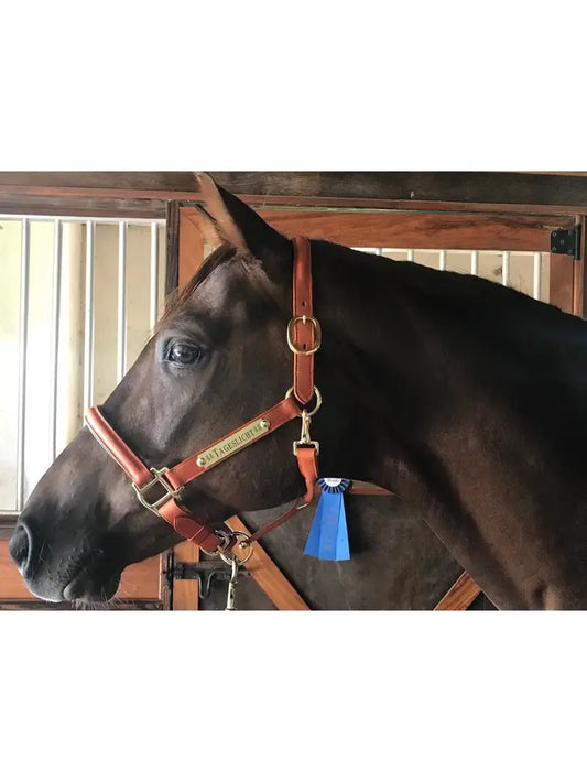 Triple-Stitched Durable Leather Halter