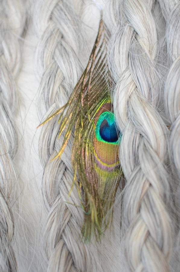 Mane Feathers For Horses - Set of 3