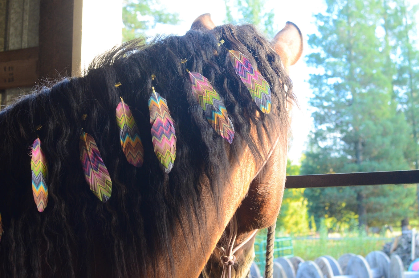 Mane Feathers For Horses - Set of 3 or 5