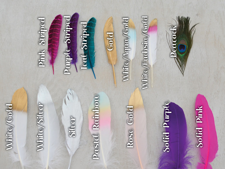 Mane Feathers For Horses - Set of 3 or 5