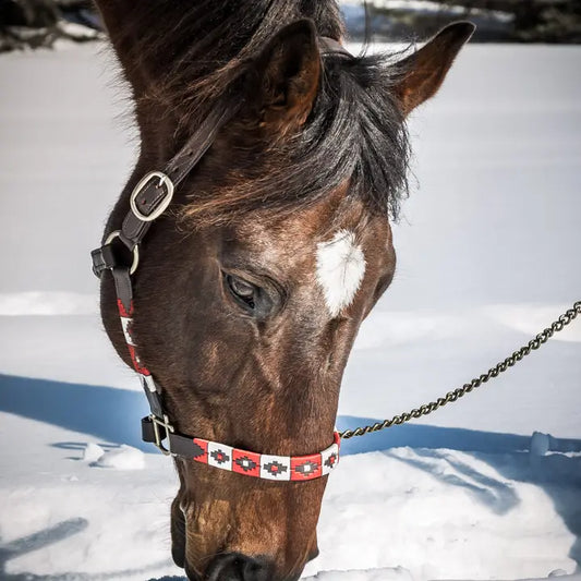 The Maple Halter