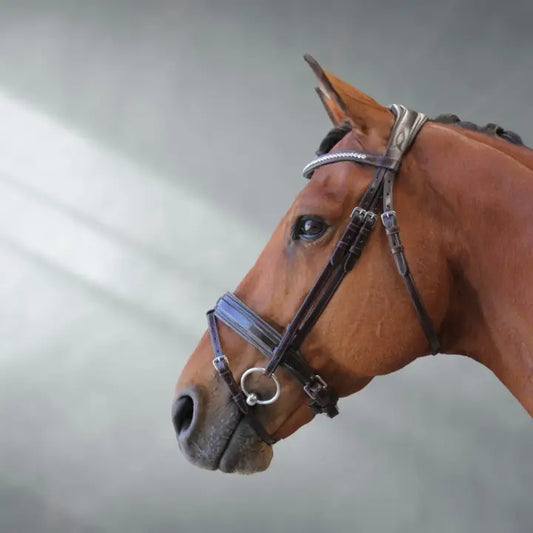 Reflection Patent Anatomical Leather Bridle + Bag | Ritmo