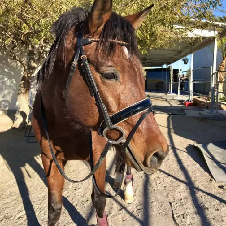 Rose Gold Tone Dressage Bridle